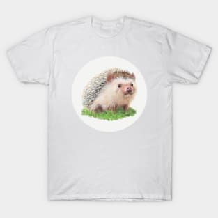 Hedgehog Painting T-Shirt